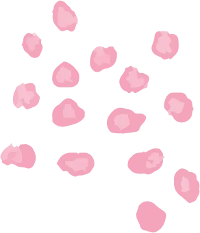 桜のイラスト