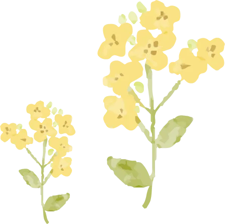 花のイラスト