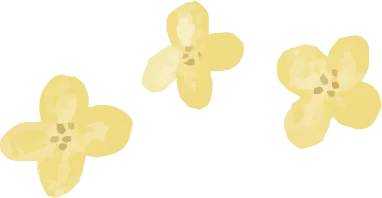 花びら