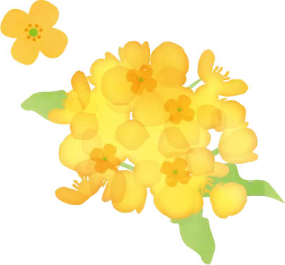 黄色い花